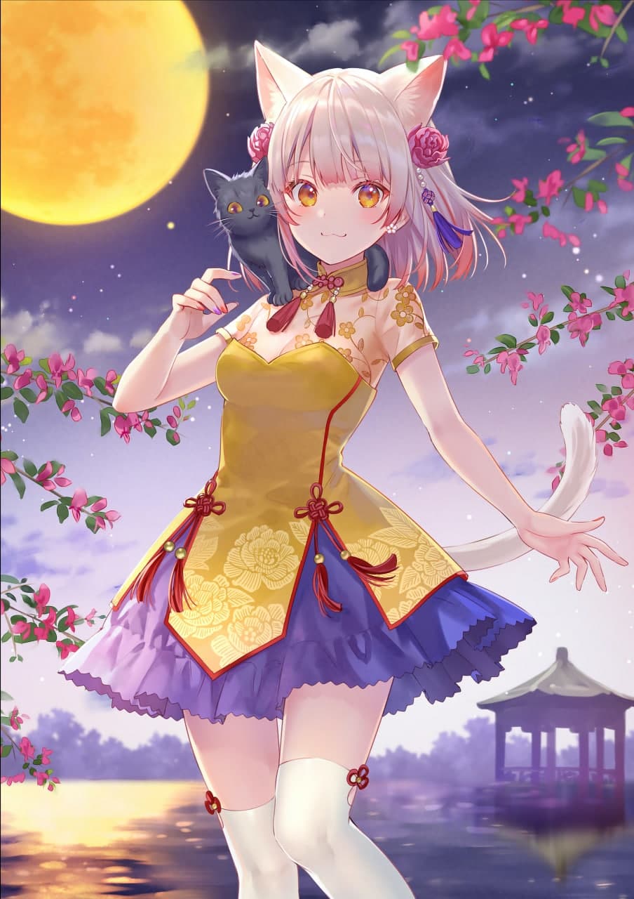 猫猫神教